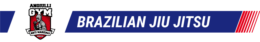 discipline-brazilian