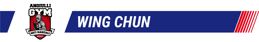 discipline-wing-chun