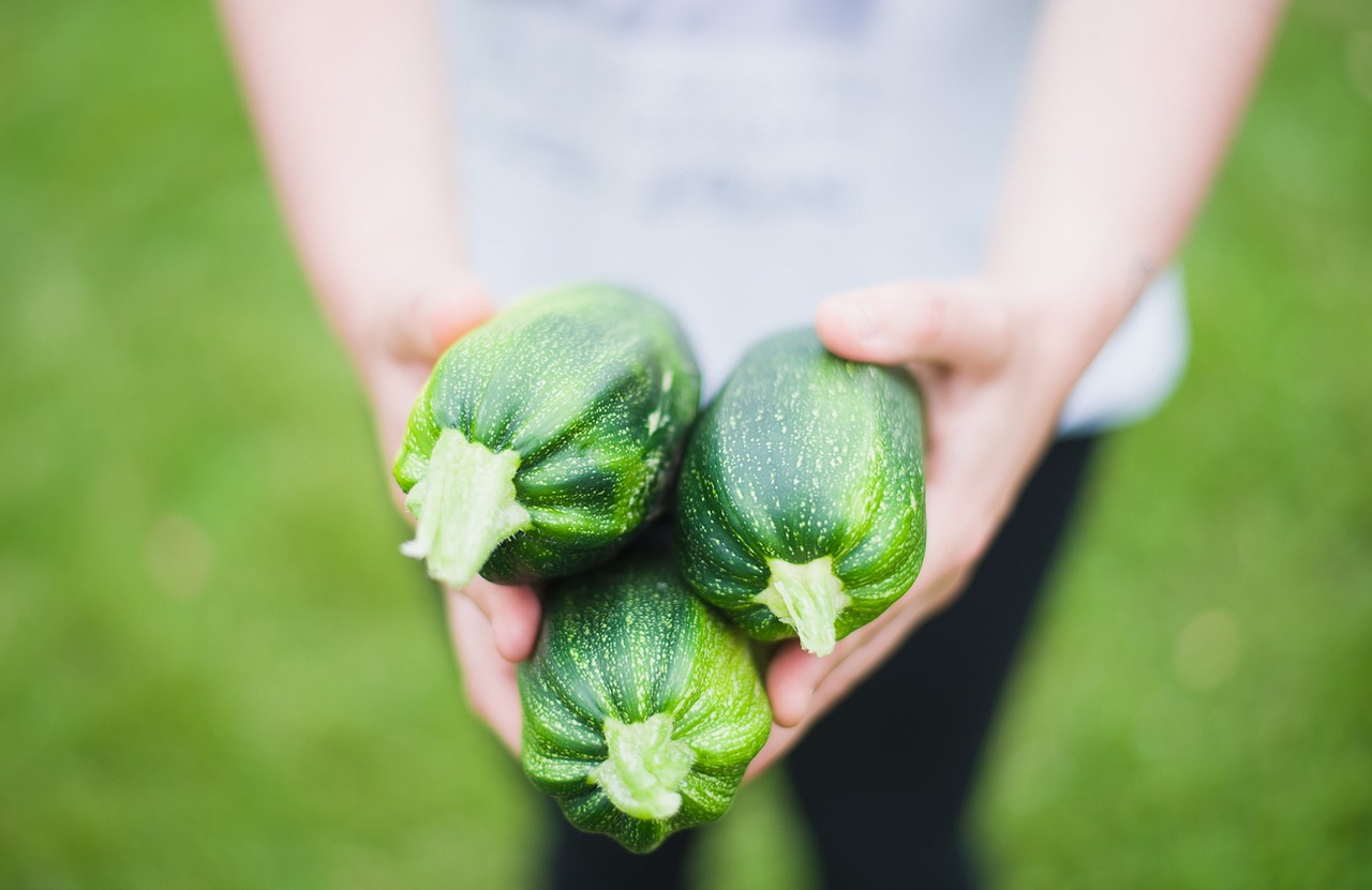 Zucchine fresche tagliate e pronte per essere cucinate in tre ricette veloci.