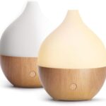 Recensione SALKING Diffusore di oli essenziali: prezzo e opinioni